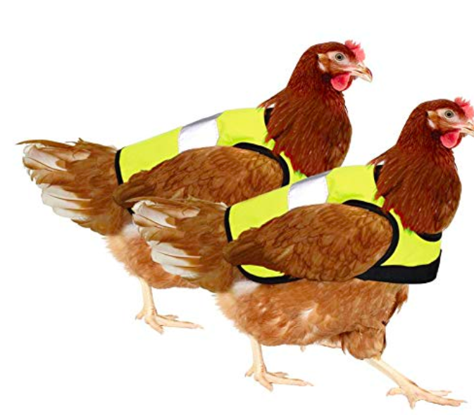 Diese Warnweste für Hühner wird von Rezensenten nicht ernst genommen
