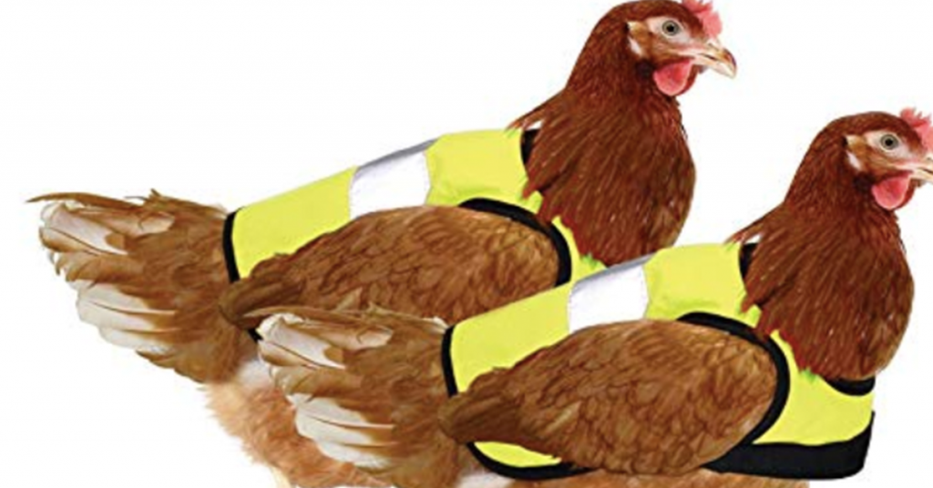 Diese Warnweste für Hühner wird von Rezensenten nicht ernst genommen