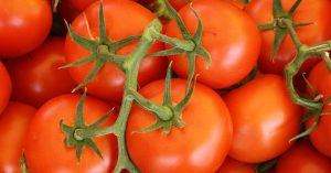 photo-1518977822534-7049a61ee0c2