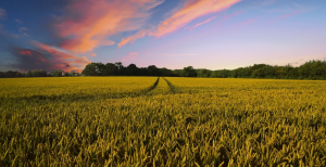 Bildschirmfoto 2020-09-10 um 10.39.31