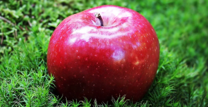 Bildschirmfoto 2021-05-03 um 16.00.40