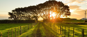 Bildschirmfoto 2021-05-14 um 16.22.18