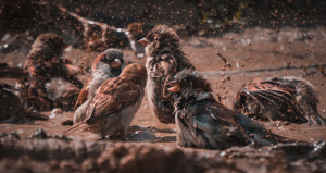 Bildschirmfoto 2021-07-23 um 08.55.20