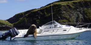 Bildschirmfoto 2021-09-27 um 11.41.19