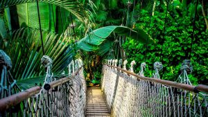 Dschungelcamp_Suedafrika_2022 Kopie