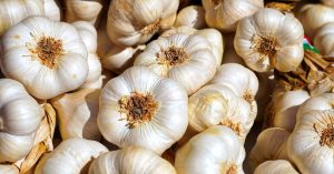 garlic-4461533_1920