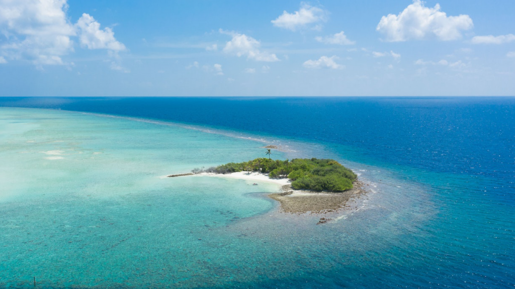 3 Dinge auf eine einsame Insel mitnehmen: 15 unerwartete Antworten