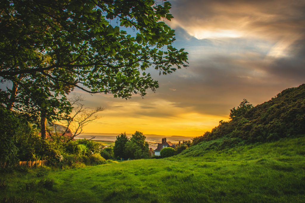 Ein Sonnenuntergang über einem grünen Hügel mit Bäumen und viel Natur.