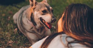 Header_blog_beste_dier_uitgelicht