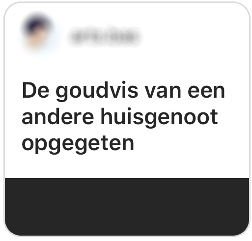 huisgenoten