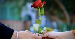 uitgelicht_bachelorette