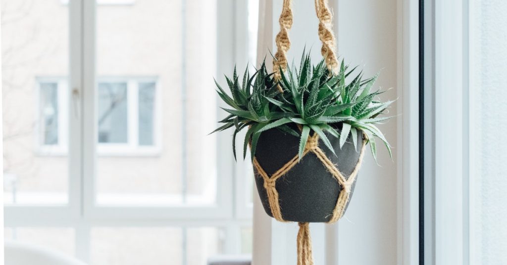 Nederlandse woontrends