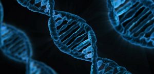 dna-163466_1280