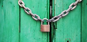 pexels-life-of-pix-4291