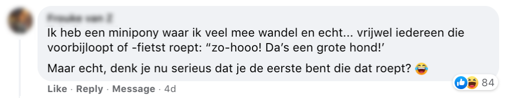 humor