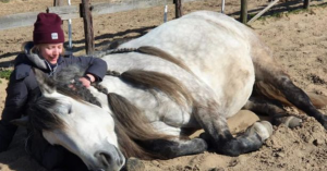 Schermafbeelding 2022-05-17 om 12.05.50