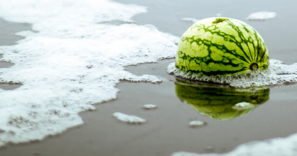 Feitjes watermeloen in het water common sense