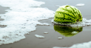 Watermeloen in het water common sense