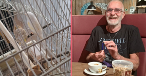 Schermafbeelding 2022-09-15 om 11.45.08