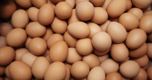 eitje header zonder socials