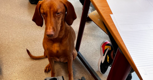 Schermafbeelding 2022-10-03 om 12.13.31