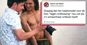 het perfecte plaatje met