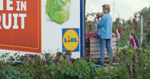 uitgelicht