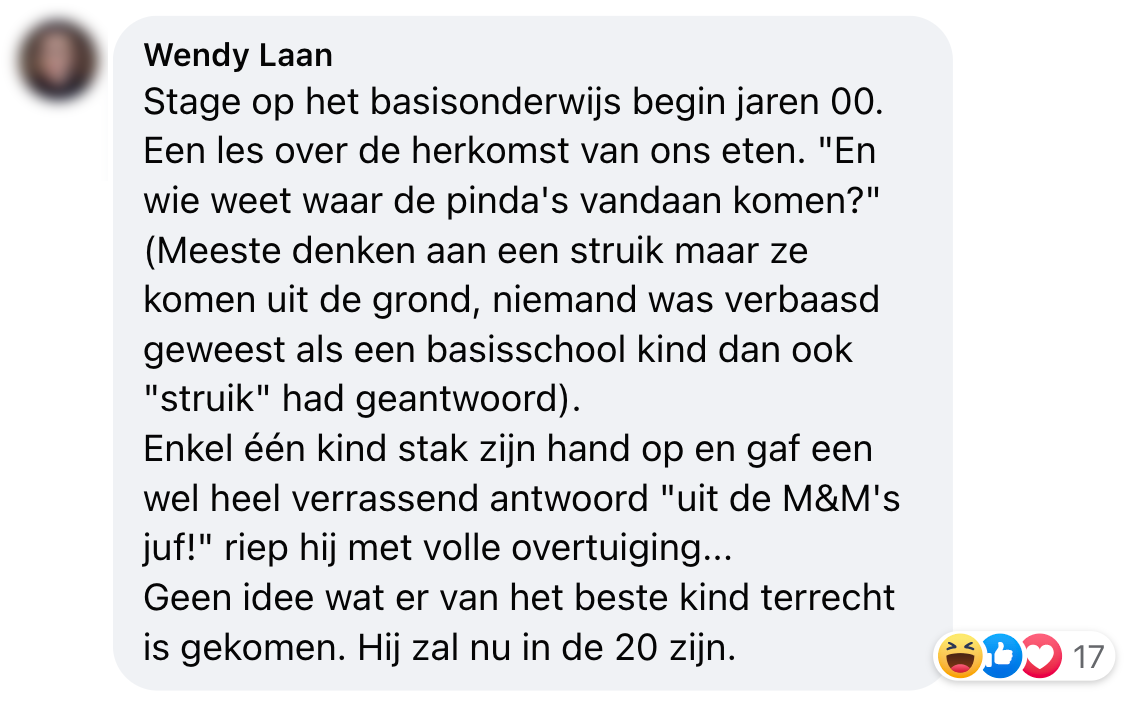 aa pinda domme vragen