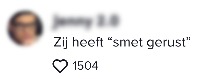 aa smet gerust treinreiziger