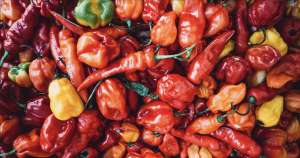 Schermafbeelding 2023-01-02 om 13.22.25