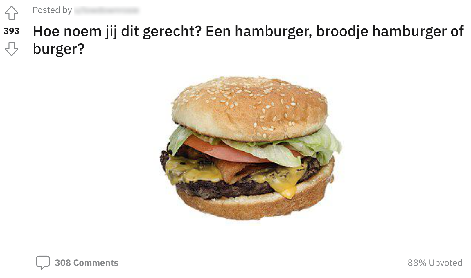 hamburger