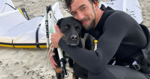 hondje