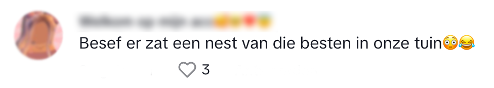 zomerhack