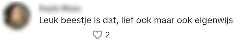 Deze indringer weet Albert Heijn-medewerkers aan het werk te zetten