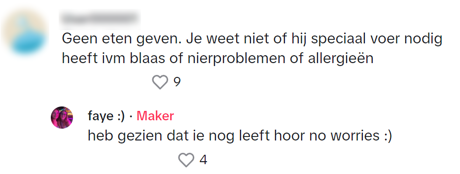 Deze indringer weet Albert Heijn-medewerkers aan het werk te zetten