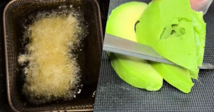 HEADER ZONDER SOCIAL