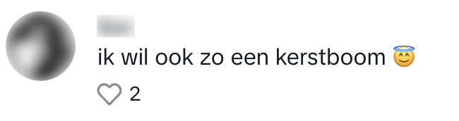albert heijn