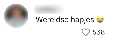 Albert Heijn