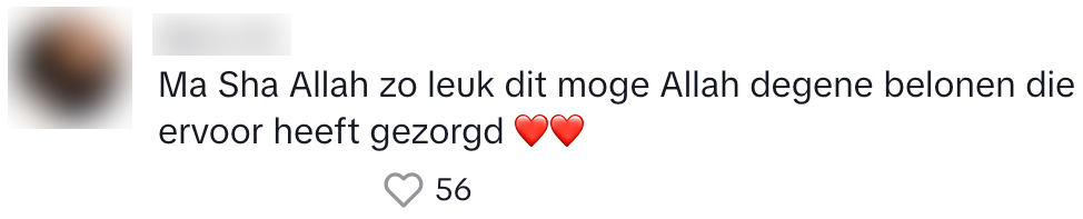 albert heijn
