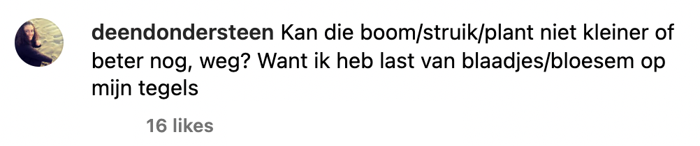 buren