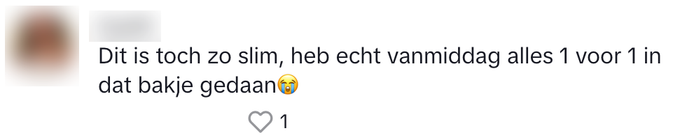 albert heijn