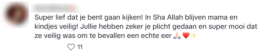 zwerfkat vakantie