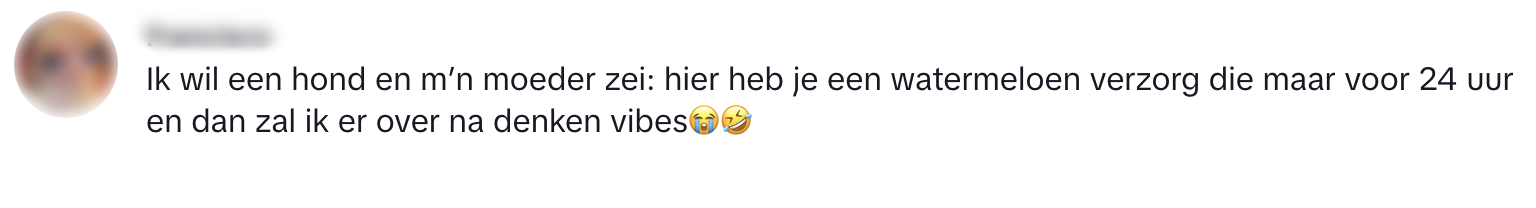 watermeloen