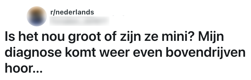 albert heijn