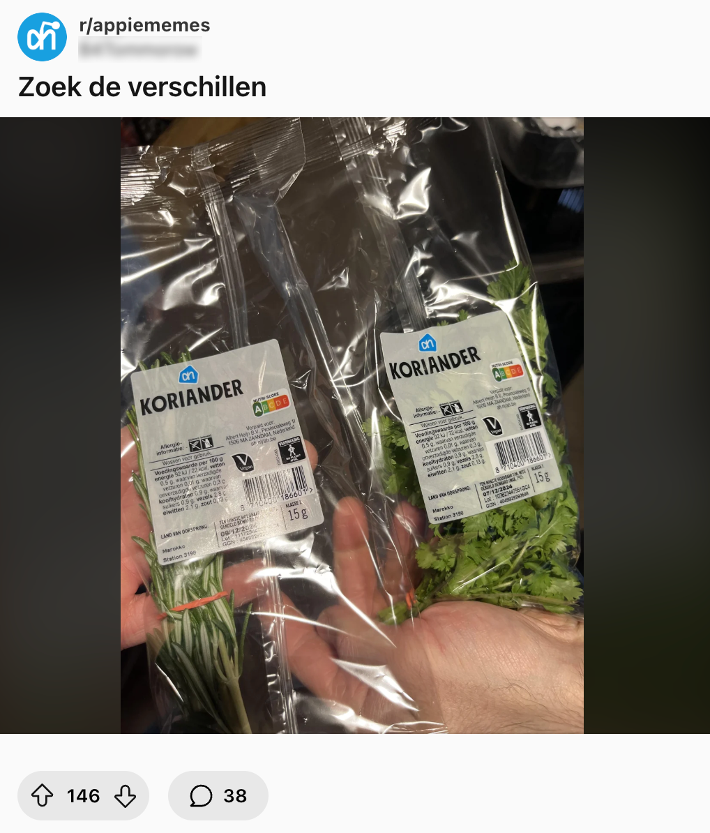 koriander