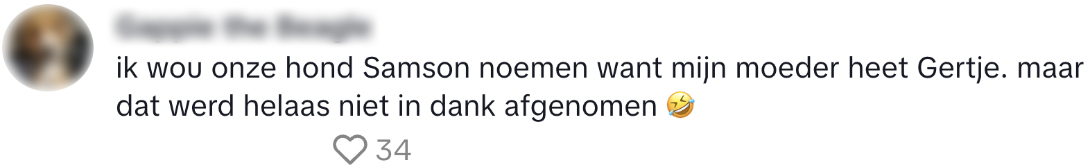 hond