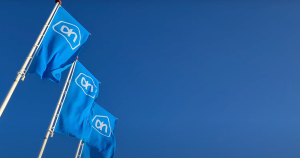 albert heijn zonder