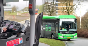 buswuif foto