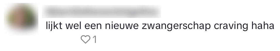 typisch nederlands snack stroopwafel tosti