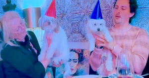 winter vol liefde zonder